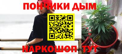 гашик Гатчина
