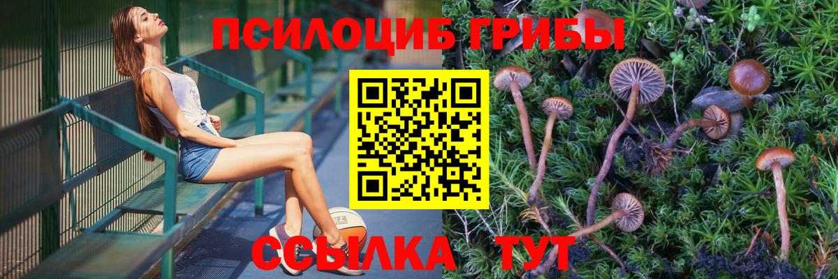 Псилоцибиновые грибы Psilocybine cubensis Ржев